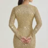 Arlowe Minikleid mit verziertem Rollkragen in Gold Arlowe Minikleid mit verziertem Rollkragen in Gold