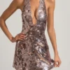 Avenza Minikleid mit Paillettenverzierung und Neckholder in Silber Avenza Minikleid mit Paillettenverzierung und Neckholder in Silber