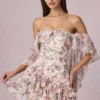 Birdie schulterfreies Minikleid mit Rüschen im Primrose-Blumenprint Birdie schulterfreies Minikleid mit Rüschen im Primrose-Blumenprint