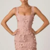 Briar Minikleid mit verzierten Applikationen im Korsettstil in Altrosa Briar Minikleid mit verzierten Applikationen im Korsettstil in Altrosa