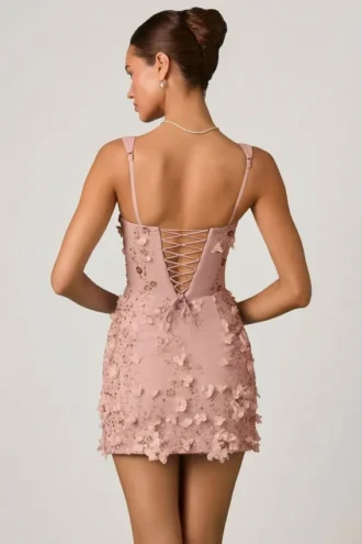 Briar Minikleid mit verzierten Applikationen im Korsettstil in Altrosa