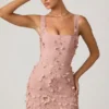 Briar Minikleid mit verzierten Applikationen im Korsettstil in Altrosa Briar Minikleid mit verzierten Applikationen im Korsettstil in Altrosa
