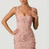Briar Minikleid mit verzierten Applikationen im Korsettstil in Altrosa Briar Minikleid mit verzierten Applikationen im Korsettstil in Altrosa