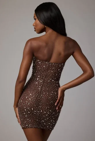 Caprice Sheer Embellished Bodycon-Minikleid in Deep Cocoa