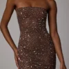 Caprice Sheer Embellished Bodycon-Minikleid in Deep Cocoa