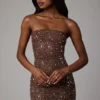Caprice Sheer Embellished Bodycon-Minikleid in Deep Cocoa