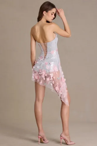 Colette Mini-Korsettkleid aus verziertem Tüll in Babyrosa