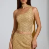 Cosette – Verziertes, asymmetrisches Oberteil mit Schaldetail in Gold Cosette – Verziertes, asymmetrisches Oberteil mit Schaldetail in Gold