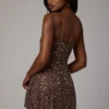 Durrani Transparentes, verziertes Minikleid mit U-Ausschnitt in Deep Cocoa Durrani Transparentes, verziertes Minikleid mit U-Ausschnitt in Deep Cocoa