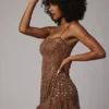 Durrani Transparentes, verziertes Minikleid mit U-Ausschnitt in Mocha Durrani Transparentes, verziertes Minikleid mit U-Ausschnitt in Mocha