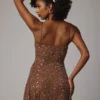 Durrani Transparentes, verziertes Minikleid mit U-Ausschnitt in Mocha Durrani Transparentes, verziertes Minikleid mit U-Ausschnitt in Mocha