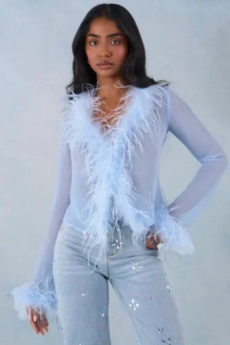 Elisia Feather Trim Sheer Oberteil in Soft Blue