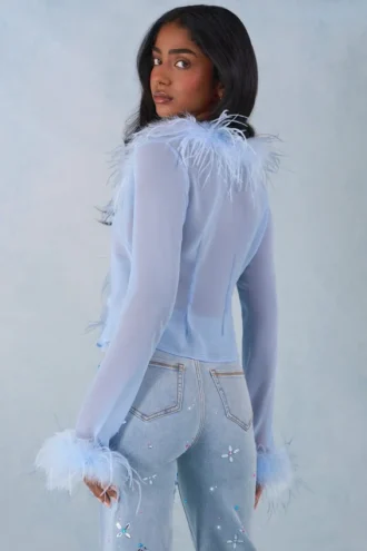 Elisia Feather Trim Sheer Oberteil in Soft Blue