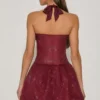 Felicity verziertes Neckholder-Minikleid mit Bubble-Saum in Weinrot Felicity verziertes Neckholder-Minikleid mit Bubble-Saum in Weinrot