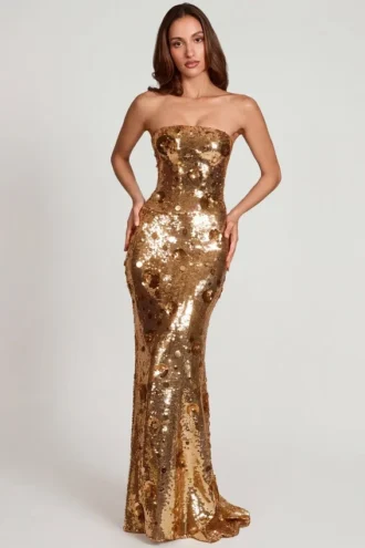 Nottola 3D-verziertes Bandeau-Maxikleid in Gold