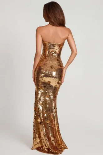 Nottola 3D-verziertes Bandeau-Maxikleid in Gold