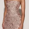 Solenna – Verziertes, trägerloses Bandeau-Kleid in Roségold Solenna – Verziertes, trägerloses Bandeau-Kleid in Roségold