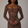 Zeta Sheer verziertes A-Linien-Minikleid mit langen Ärmeln in Deep Cocoa Zeta Sheer verziertes A-Linien-Minikleid mit langen Ärmeln in Deep Cocoa