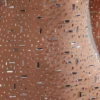 Zeta – Transparentes, verziertes A-Linien-Minikleid mit langen Ärmeln in Mandel Zeta – Transparentes, verziertes A-Linien-Minikleid mit langen Ärmeln in Mandel