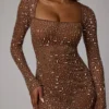 Zeta Transparentes, verziertes A-Linien-Minikleid mit langen Ärmeln in Mocha Zeta Transparentes, verziertes A-Linien-Minikleid mit langen Ärmeln in Mocha